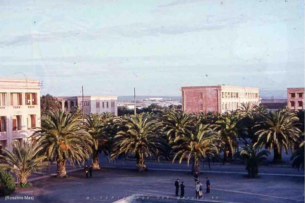 119 - AERODROMES ET BASES 1945-1962-1-BLIDA BA 140 (20).jpg